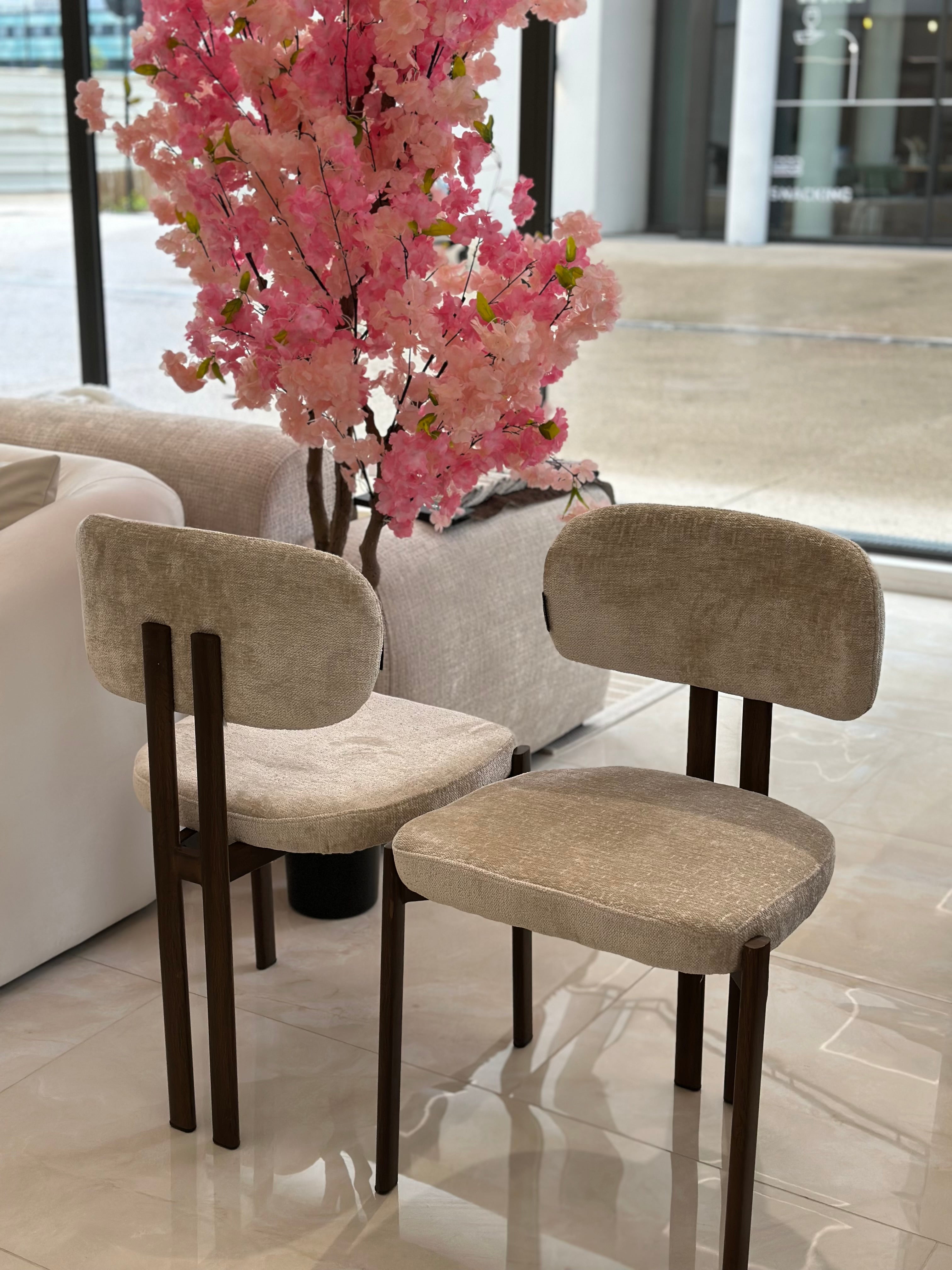 Chaise Terra Noyer