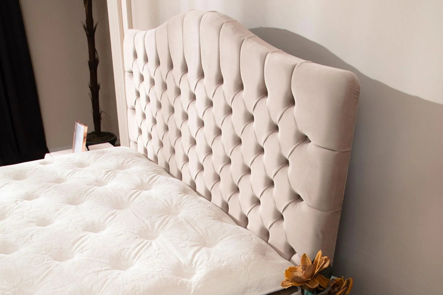 Lit Coffre Paris Beige - Velours