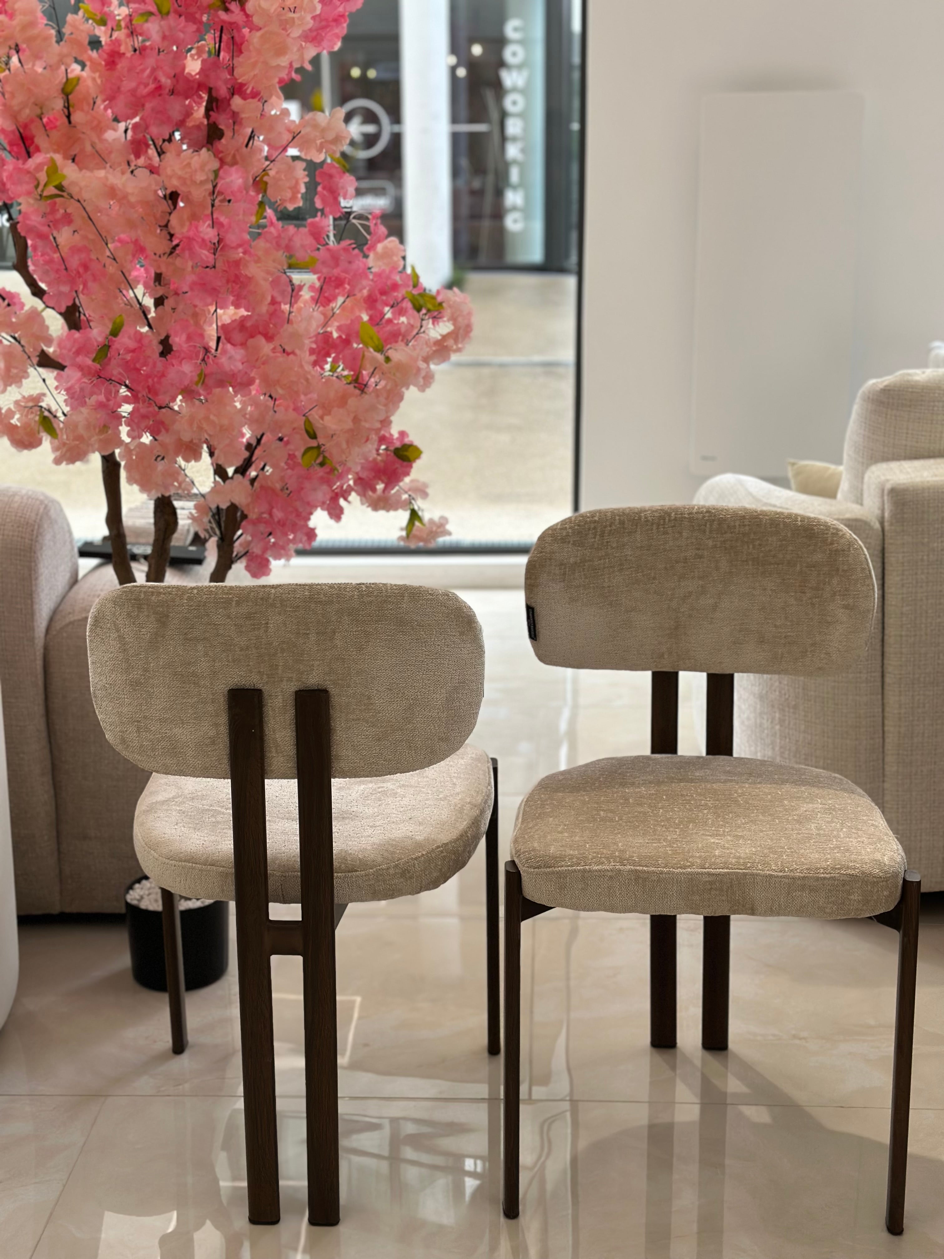 Chaise Terra Noyer